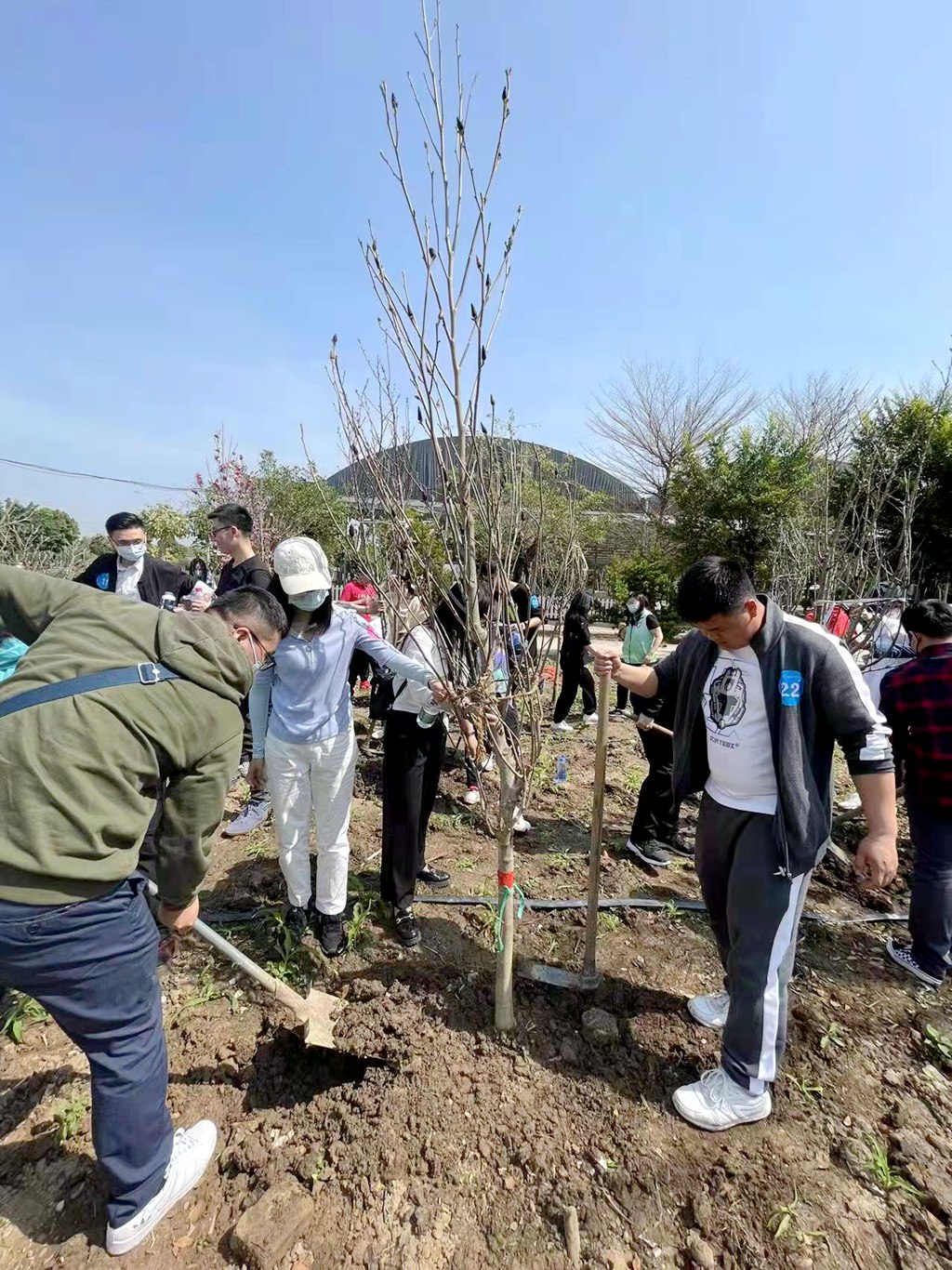 中煤江南團委舉行“同心薈翠，綠滿珠江”主體團日活動3.jpg