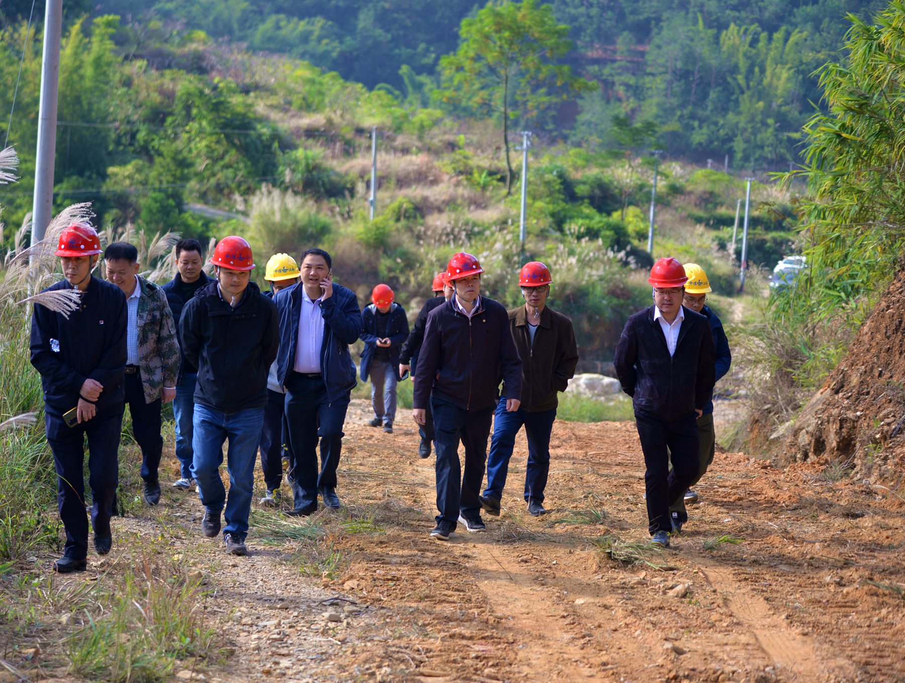 圖片4  劉金森帶隊到信宜渤秋公路生態(tài)修復(fù)工程項目檢查.jpg