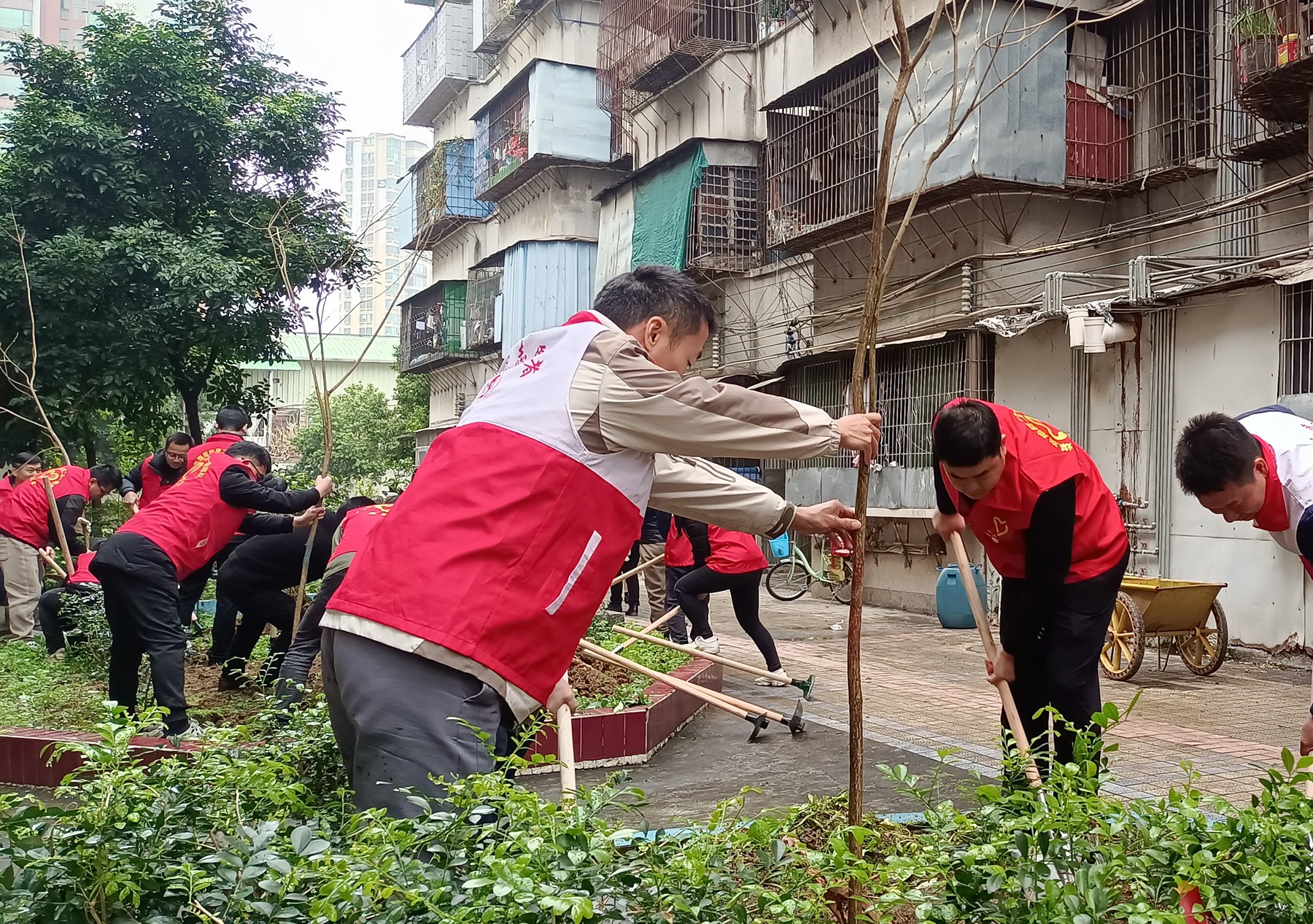 廣東煤炭地質(zhì)二0一勘探隊(duì)黨委組織“綠美清遠(yuǎn) 你我共建”主題黨日活動(dòng)1.jpg
