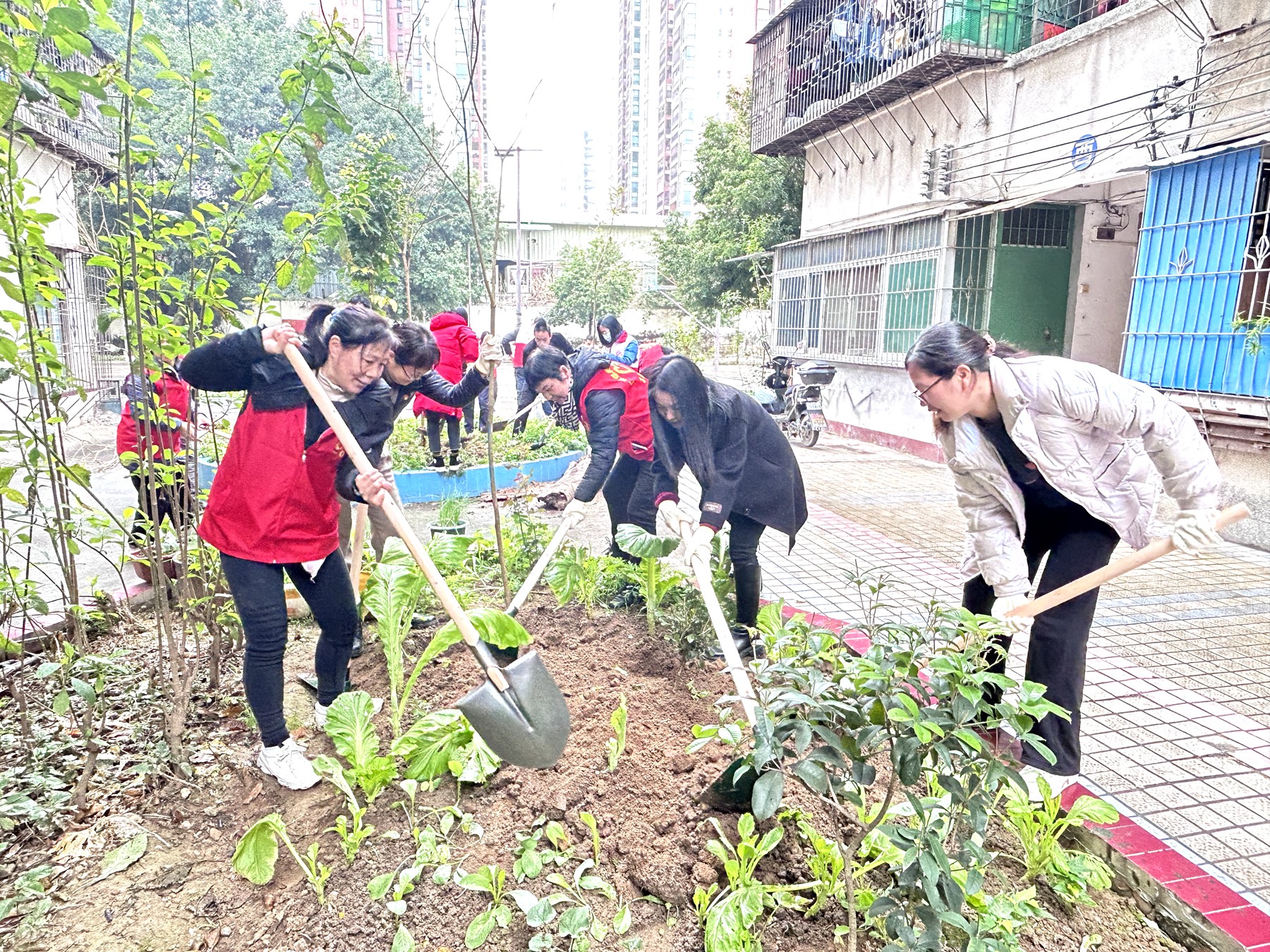 廣東煤炭地質(zhì)二0一勘探隊(duì)黨委組織“綠美清遠(yuǎn) 你我共建”主題黨日活動(dòng)3.jpg