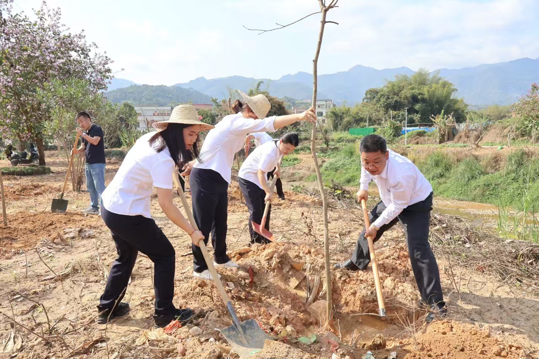 地環(huán)公司于羅定市開展主題黨日暨植樹活動(dòng)黨員齊心協(xié)力種植樹苗.jpg