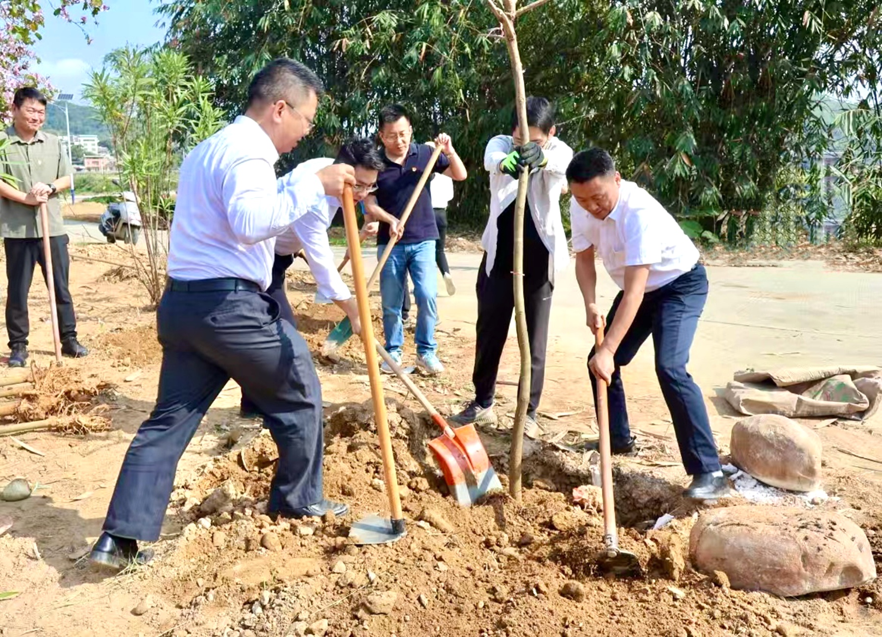 地環(huán)公司于羅定市開展主題黨日暨植樹活動(dòng)黨支部書記楊慶祝帶頭揮鏟植樹.jpg